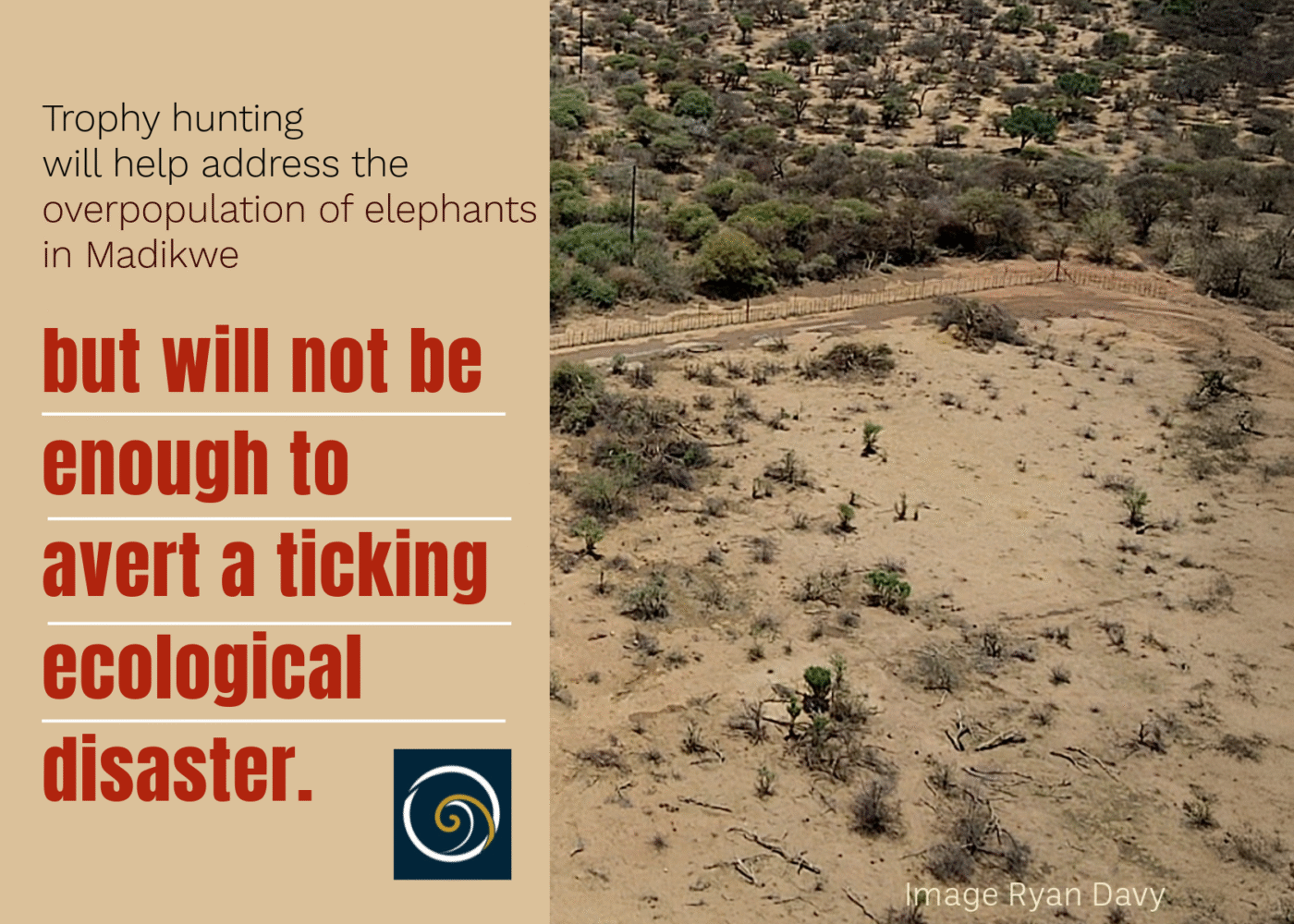 Elephant Overpopulation at Madikwe Game Reserve Is Real, Ignoring It ...